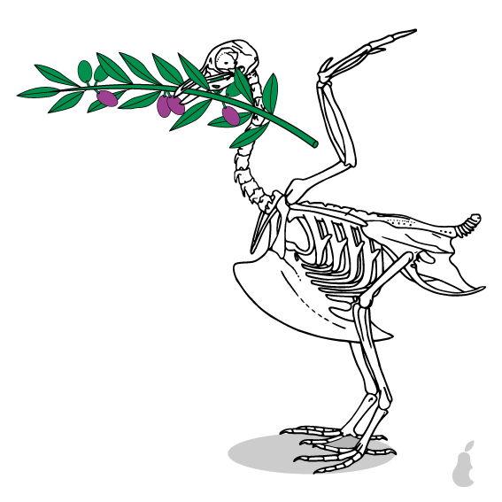 Un'immagine quadrata con sfondo bianco, al centro, il disegno di uno scheletro di colomba con un ramoscello d'ulivo nel becco. A square image with a white background, in the center, a drawing of a dove skeleton with an olive branch in its beak.